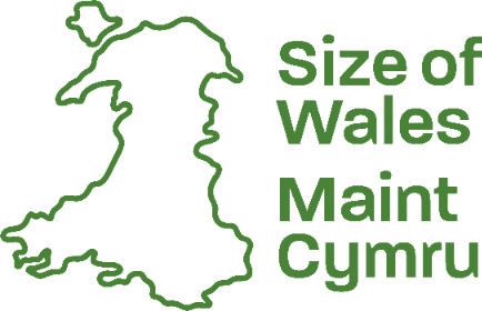 maint cymru logo